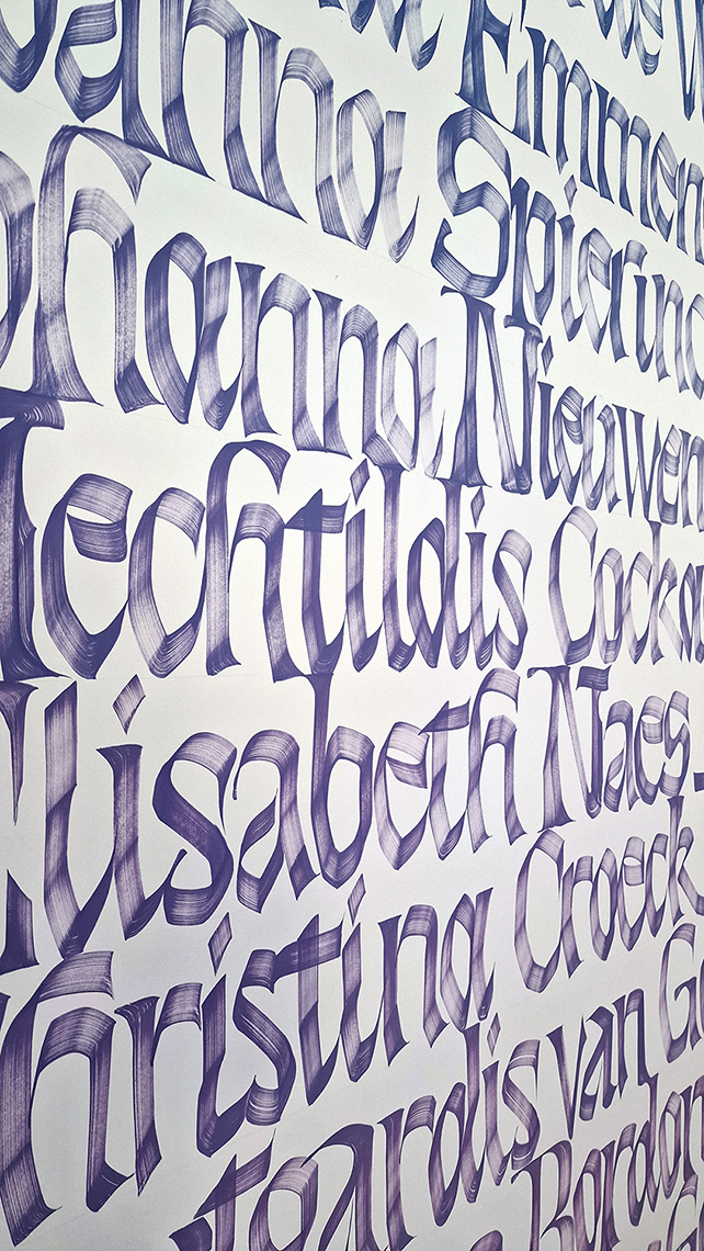 Lamy Feder ohne Schlitz